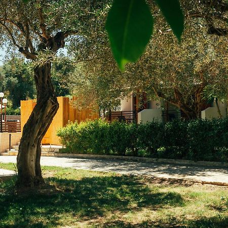 קאבוס Kalypso Studio Resorts מראה חיצוני תמונה