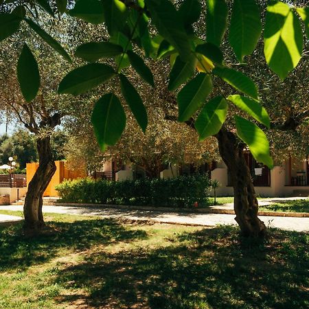 קאבוס Kalypso Studio Resorts מראה חיצוני תמונה