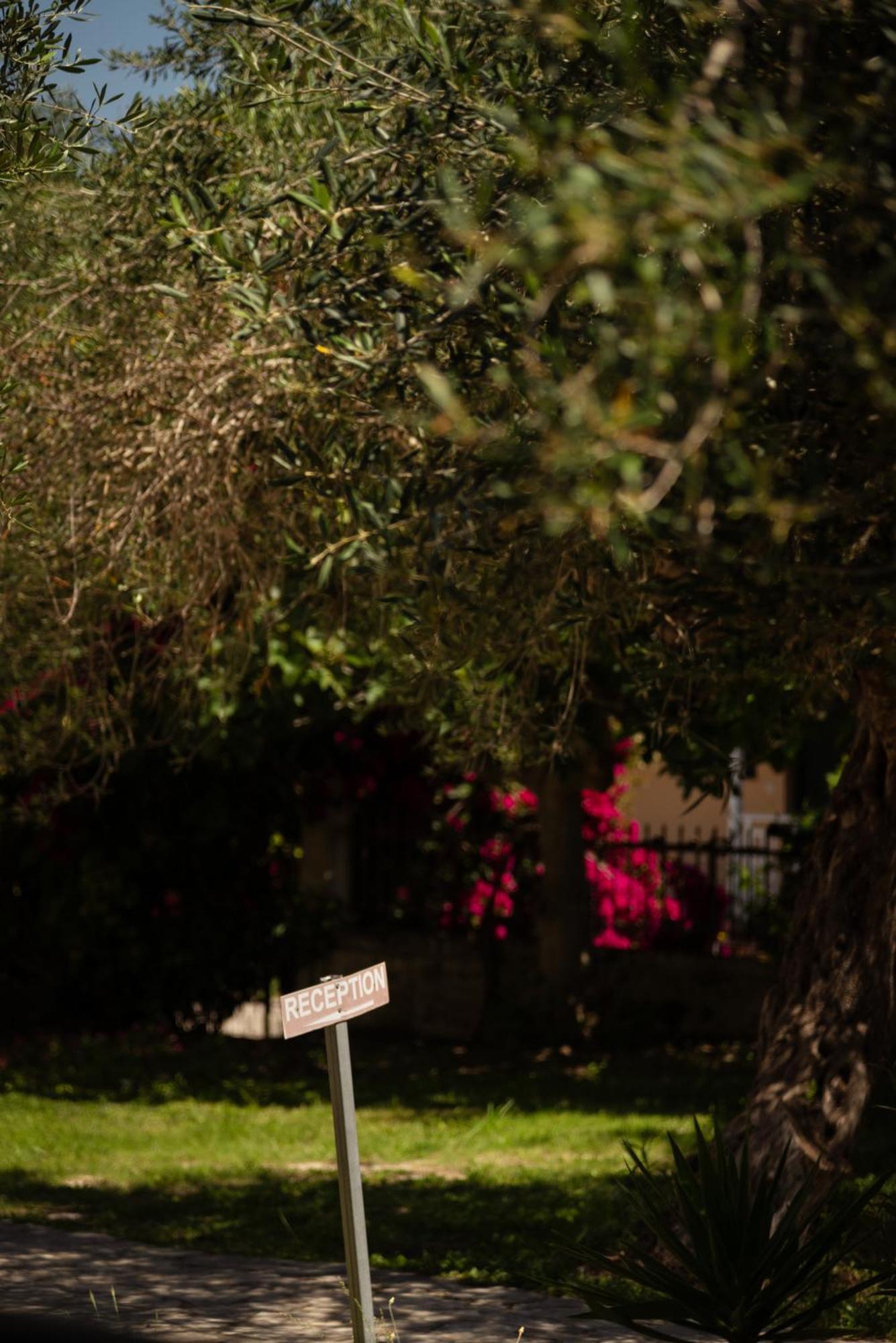 קאבוס Kalypso Studio Resorts מראה חיצוני תמונה