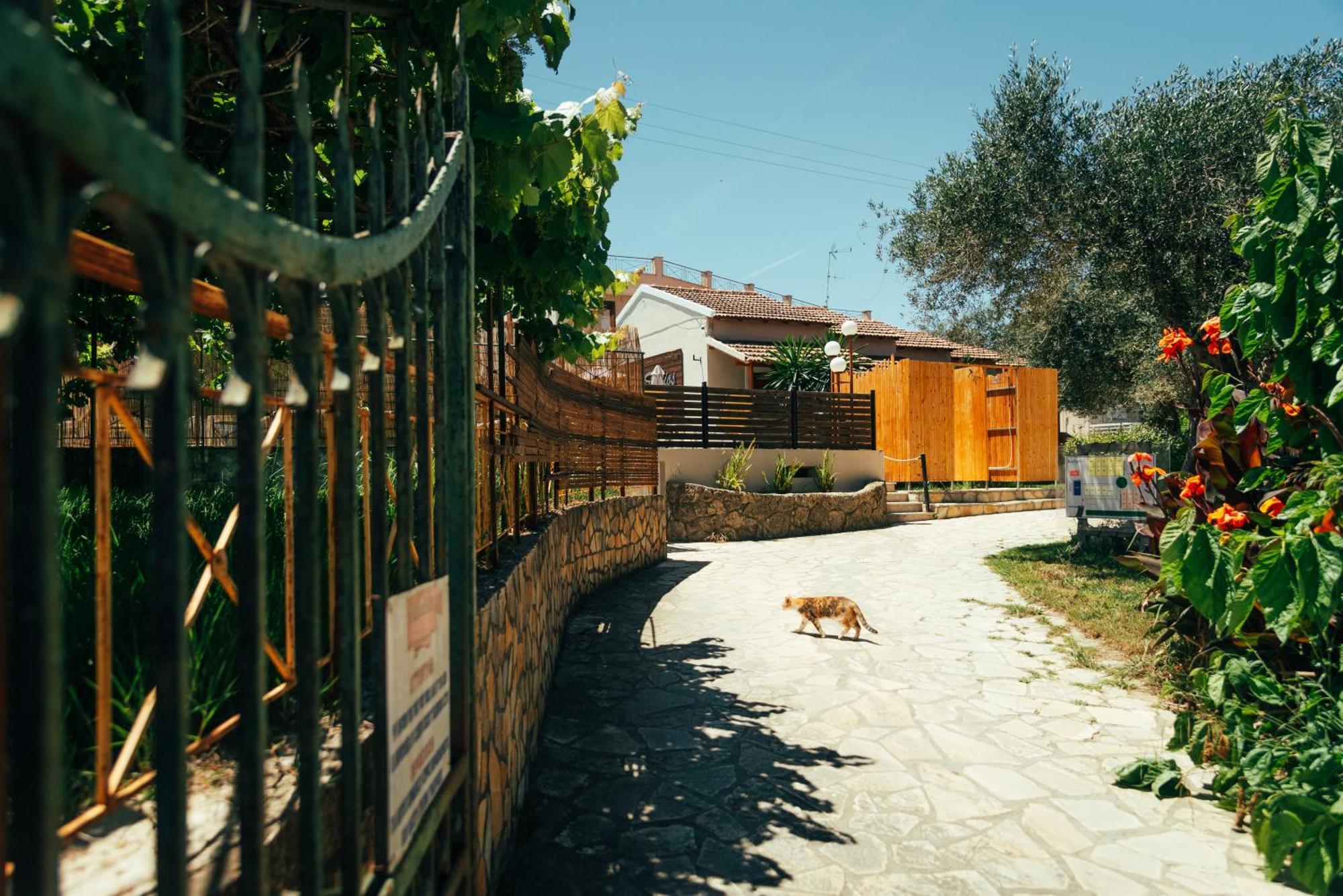 קאבוס Kalypso Studio Resorts מראה חיצוני תמונה